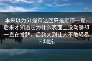 本来以为51爆料这回只是顺带一提，后来才知道它为什么表面上没动静却一直在发酵，后劲大到让人不敢轻易下判断。